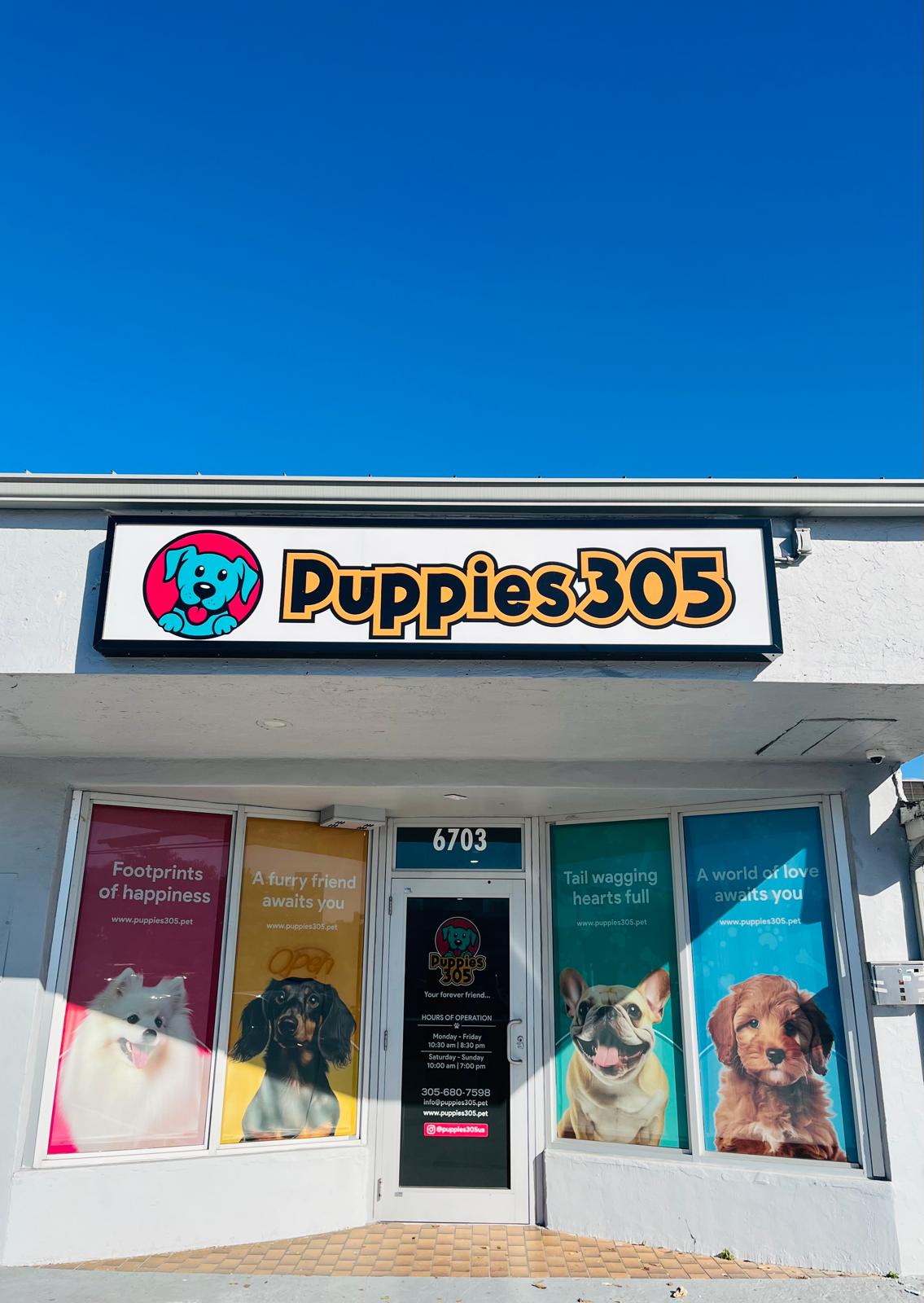 Puppies 305 About